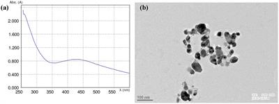 Differential Phytotoxic Impact of Plant Mediated Silver Nanoparticles (AgNPs) and Silver Nitrate (AgNO3) on Brassica sp.